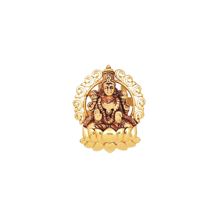 Goddess Lakshmi Blessings